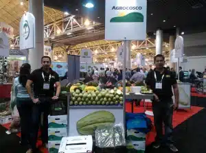 Agrocosco