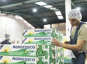 Agrocosco