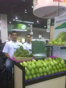 Agrocosco