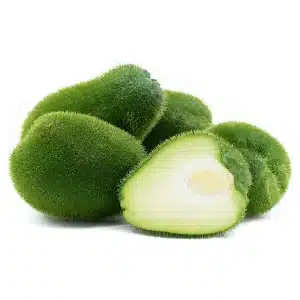 Agrocosco