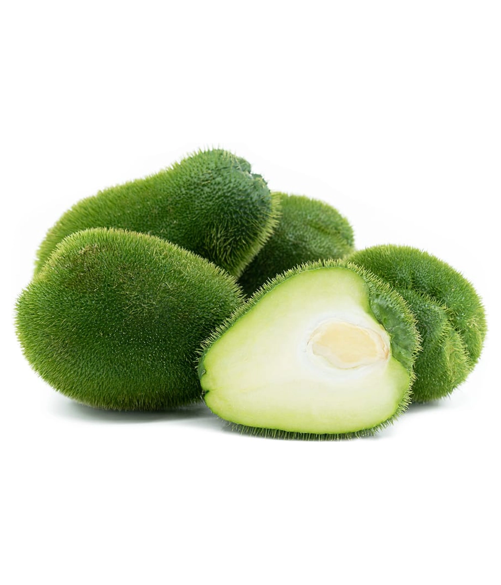 Agrocosco