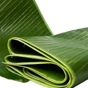 Banana Leaf