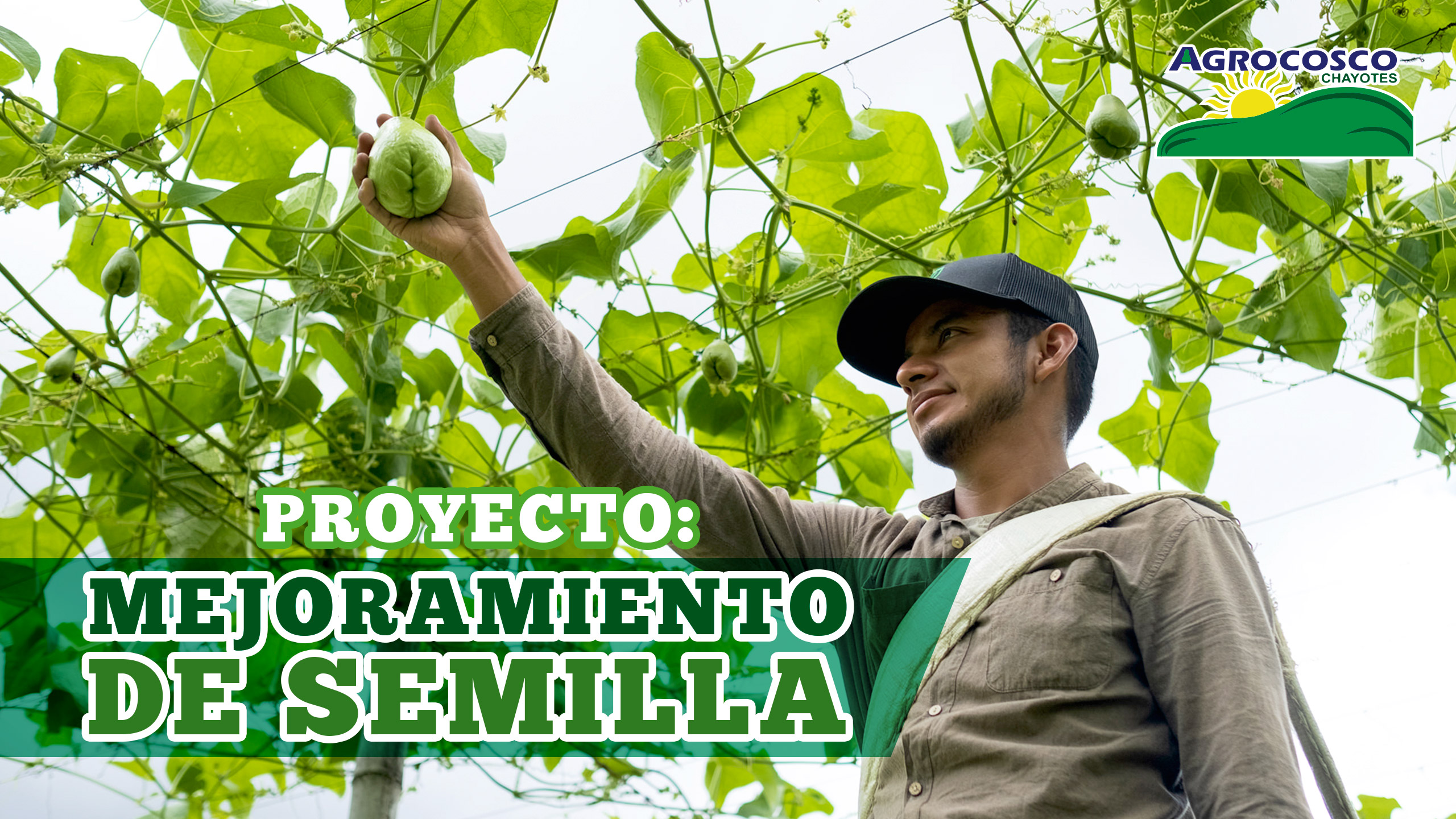 Proyecto: Mejoramiento de semilla